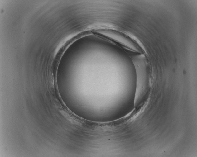 X0000073730973200608311841