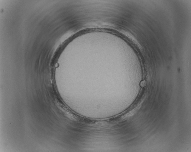 X0000073730974200608311841