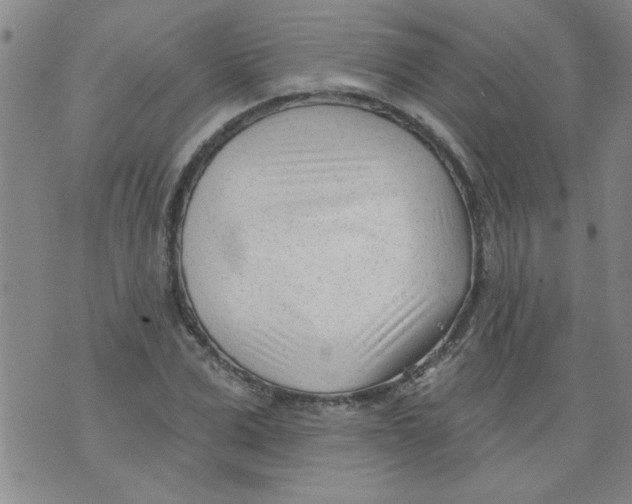 X0000073730975200608311841