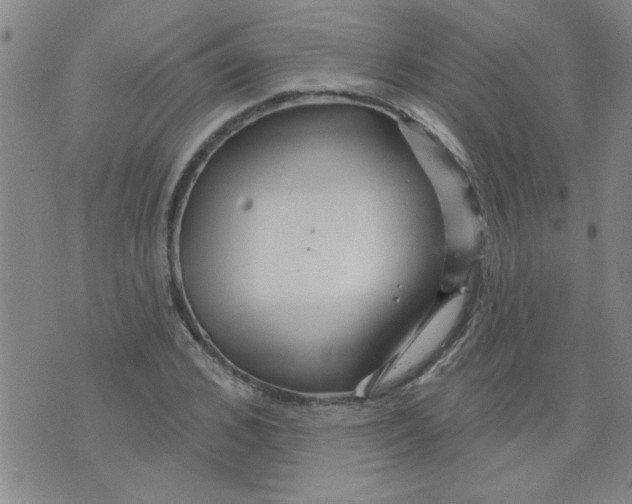 X0000073730976200608311841