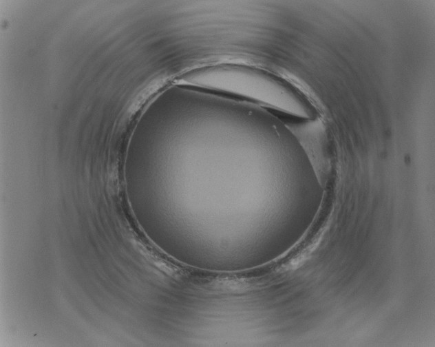 X0000073730977200608311841