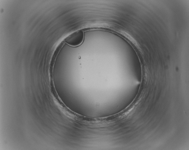 X0000073730980200608311841