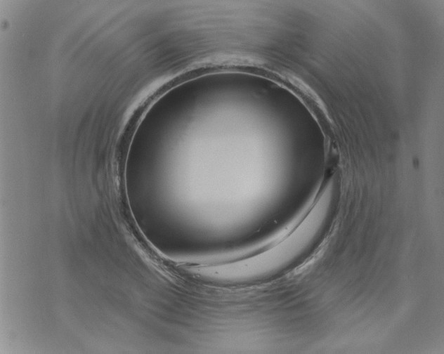 X0000073730981200608311841