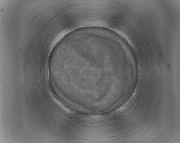 X0000073730982200608311841