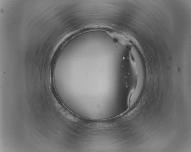 X0000073730984200608311841