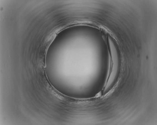 X0000073730985200608311841