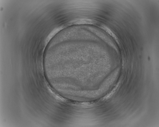 X0000073730986200608311841