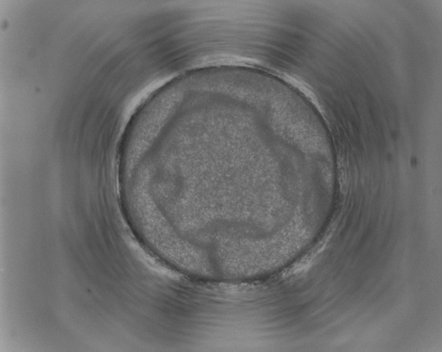 X0000073730987200608311841