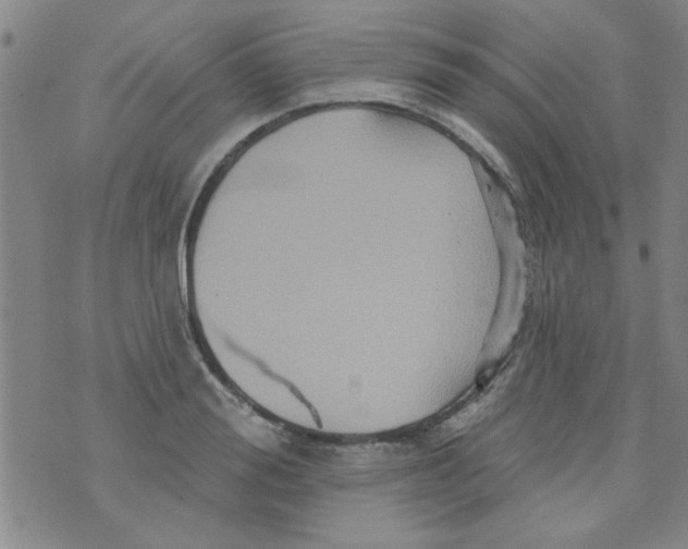 X0000073730988200608311841