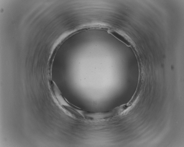 X0000073730989200608311841