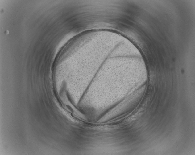 X0000073730990200608311840