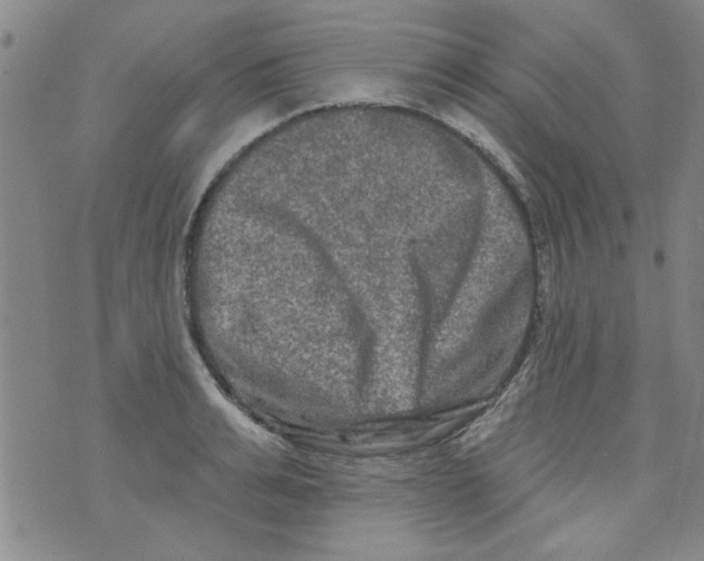 X0000073730991200608311840