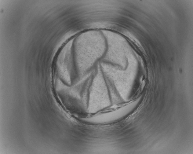 X0000073730992200608311840