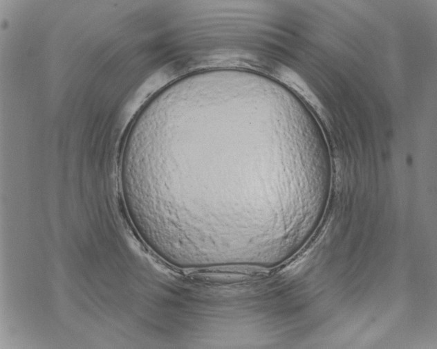 X0000073730994200608311840