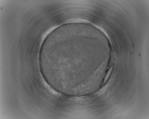 X0000073730995200608311840