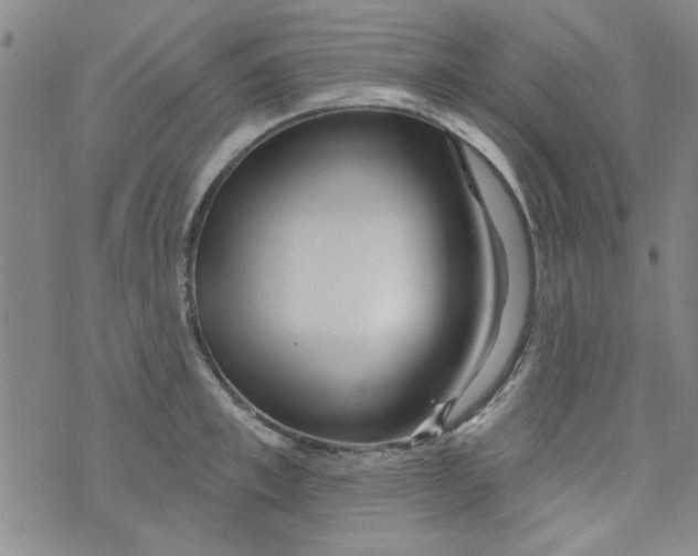 X0000073730997200608311840