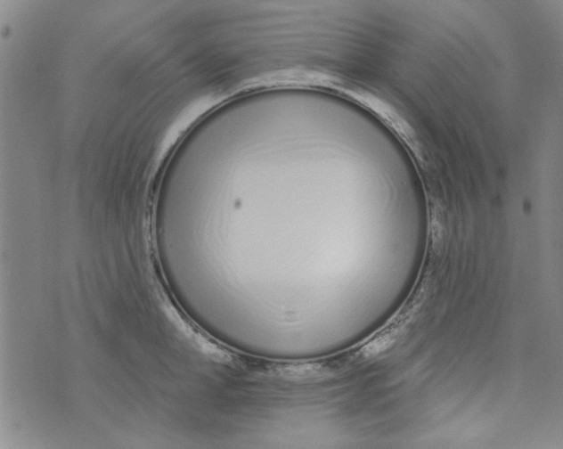 X0000073730998200608311840