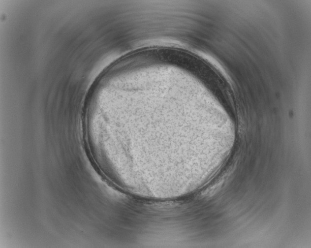 X0000073730999200608311840