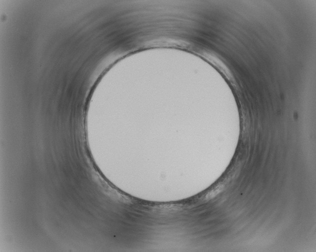 X0000073731000200608311840