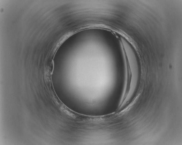 X0000073731001200608311840