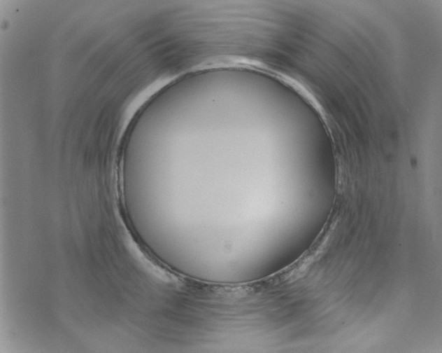 X0000073731003200608311840