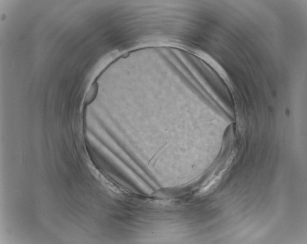 X0000073731004200608311840