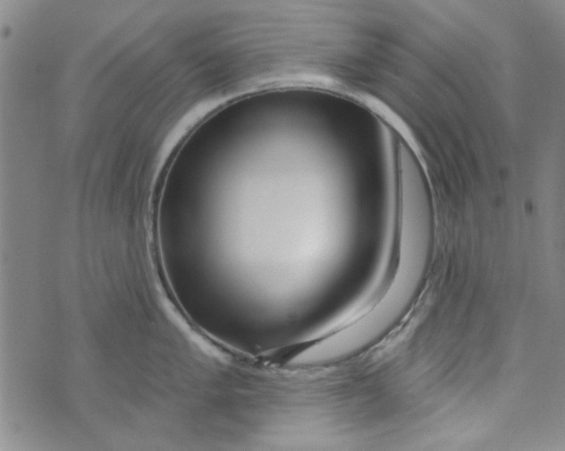 X0000073731005200608311840