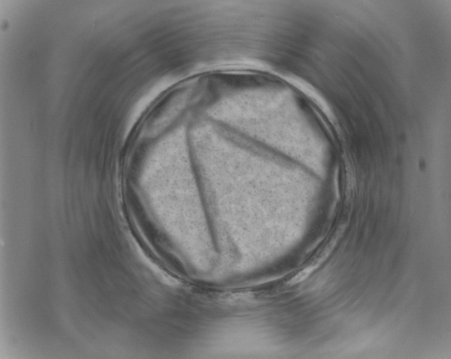 X0000073731006200608311840