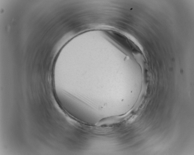 X0000073731007200608311840