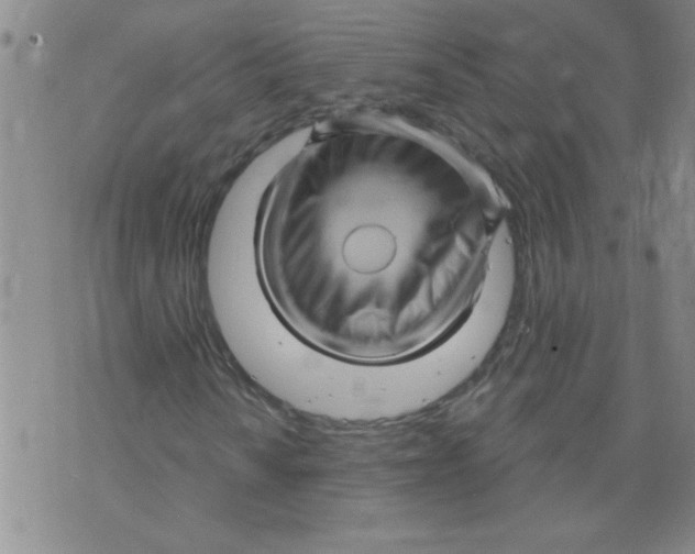 X0000073731010200608311839