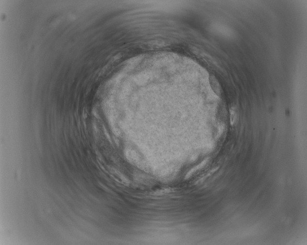 X0000073731011200608311839