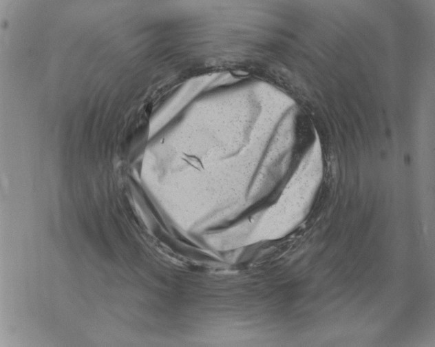 X0000073731012200608311839