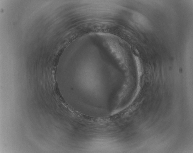 X0000073731013200608311839