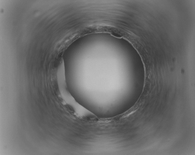 X0000073731014200608311840