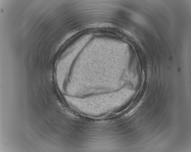 X0000073731017200608311840