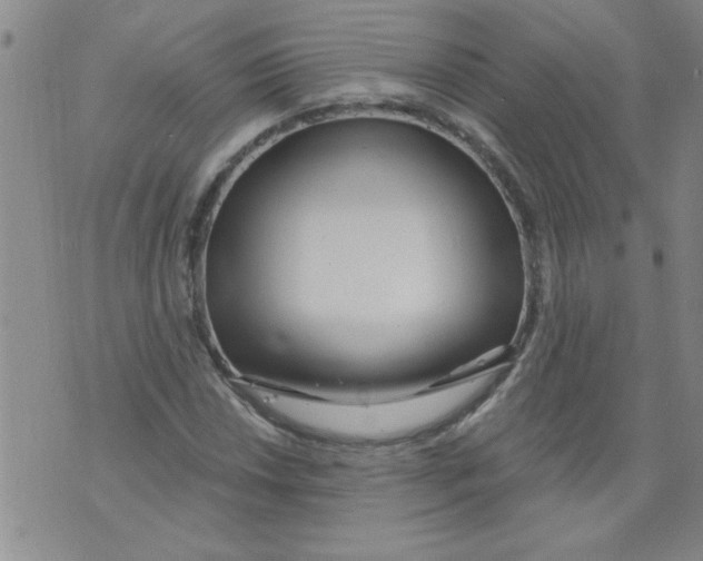 X0000073731018200608311840