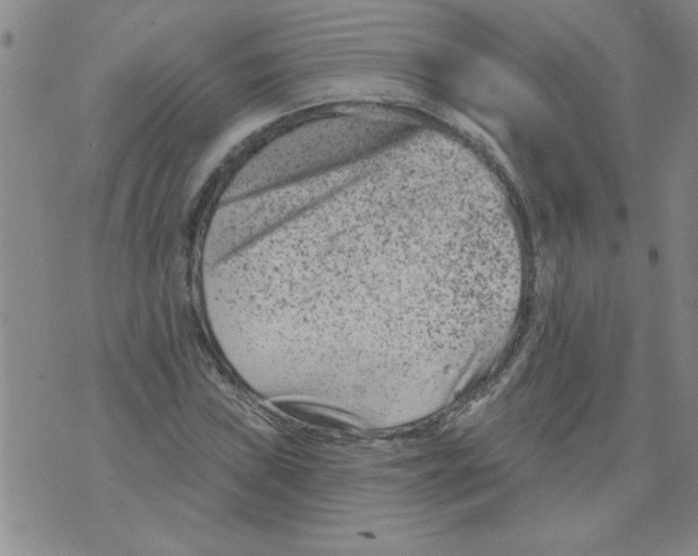 X0000073731019200608311840