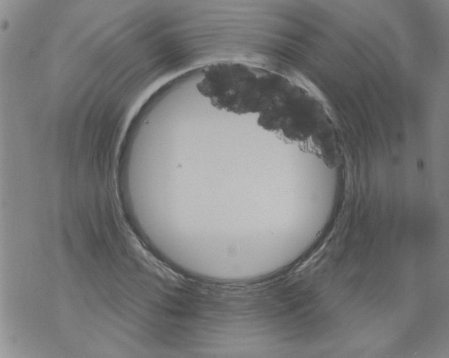 X0000073731020200608311840