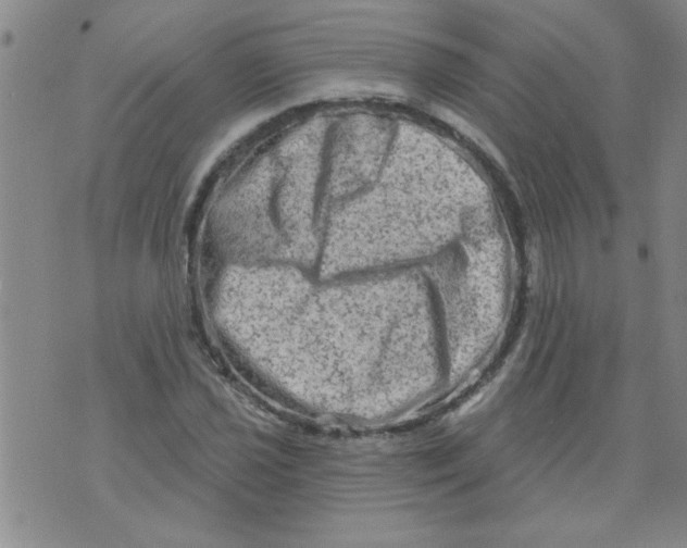 X0000073731021200608311840