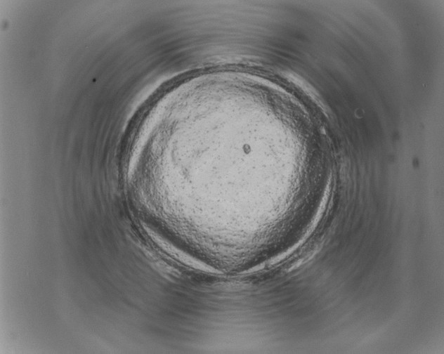 X0000073731023200608311840