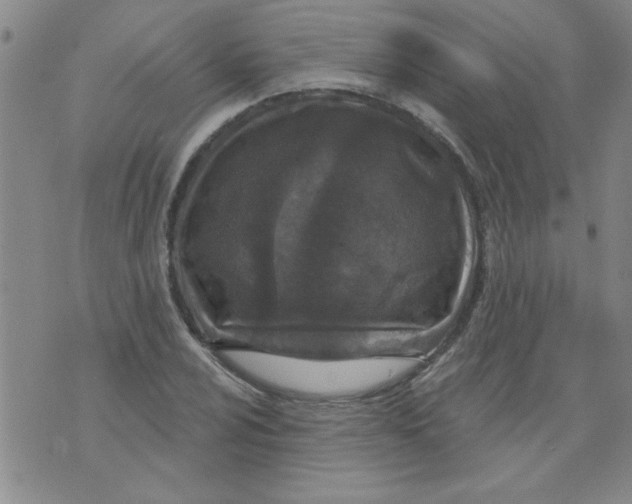 X0000073731024200608311840