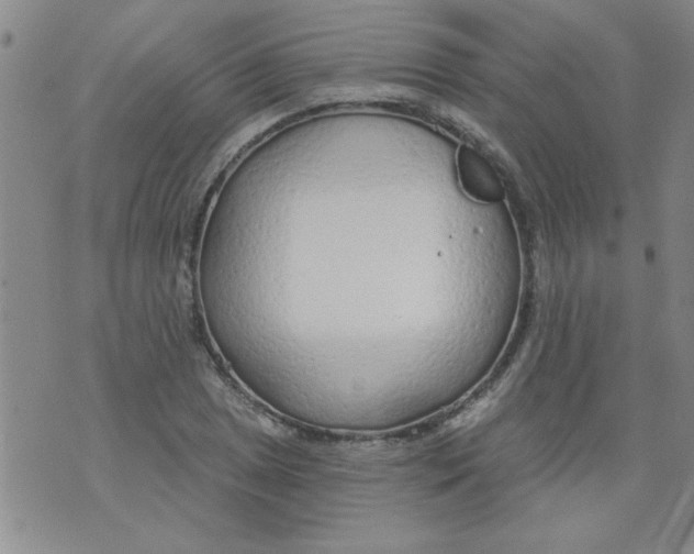 X0000073731025200608311840