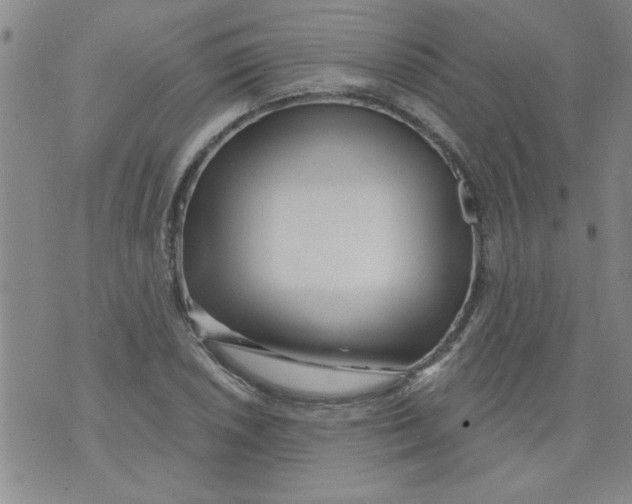 X0000073731026200608311840