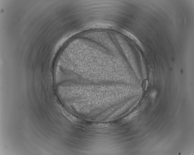 X0000073731027200608311840