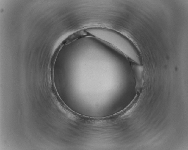 X0000073731030200608311840