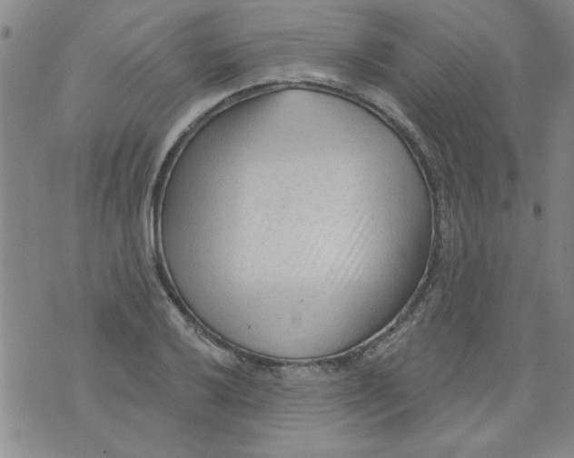 X0000073731032200608311840