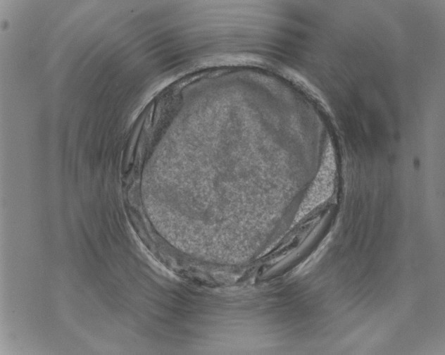 X0000073731033200608311840