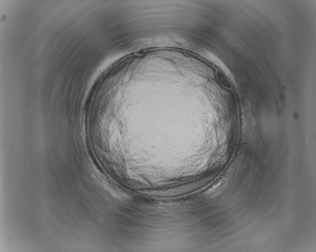 X0000073731035200608311840