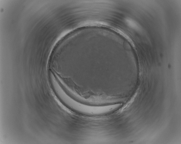 X0000073731037200608311840