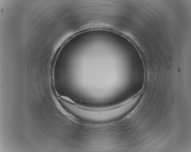 X0000073731038200608311840